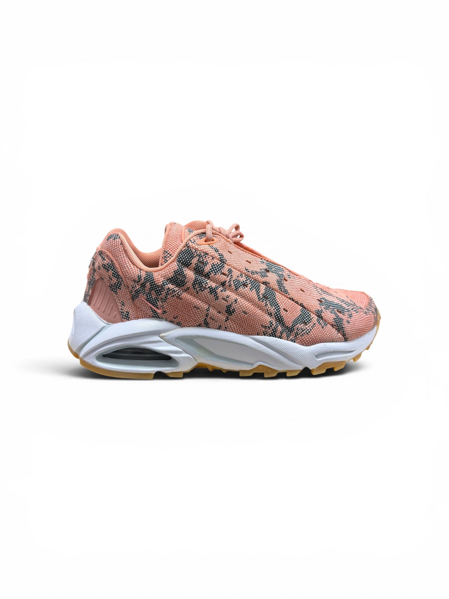 Nocta serpent rose