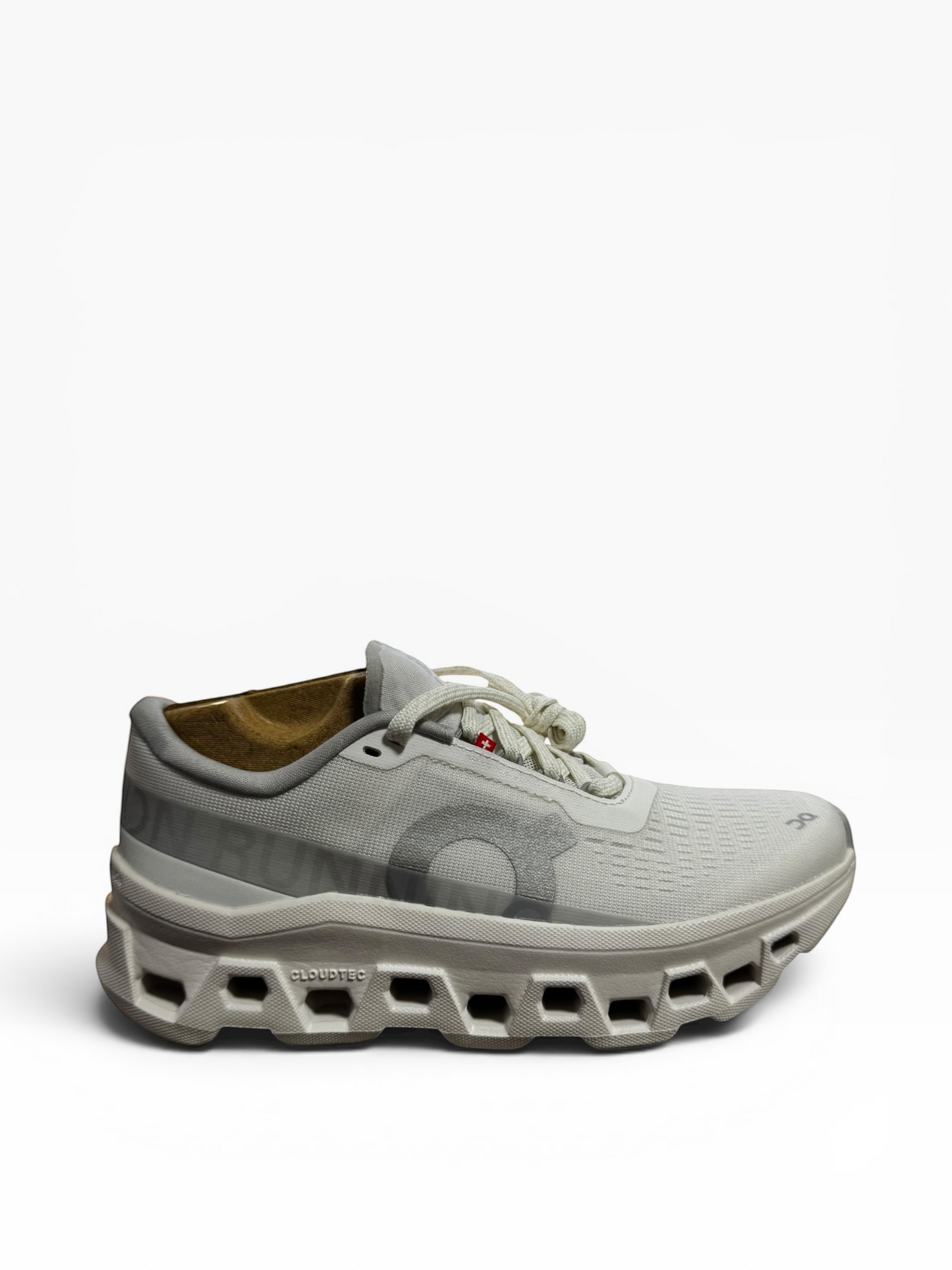 On Cloudmonster 1