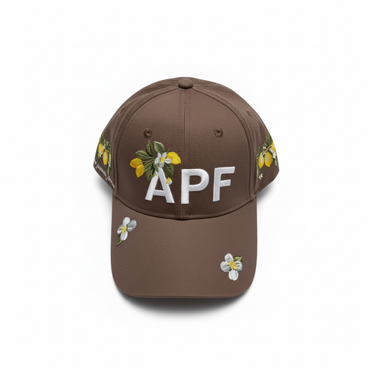 Casquette marron APF